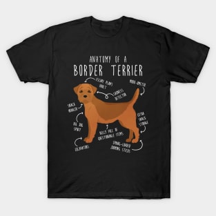 Border Terrier Red Dog Anatomy T-Shirt